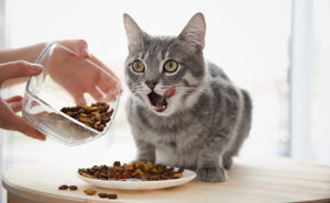 Clinical Trial ALYATEC CATS