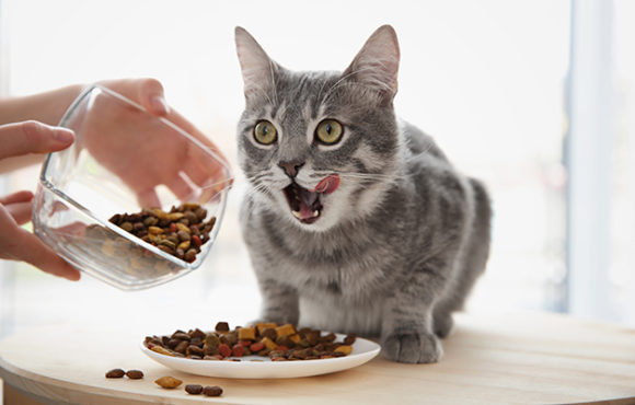 Clinical Trial ALYATEC CATS